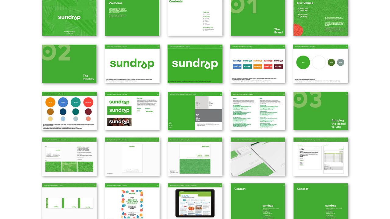 Sundrop-brand-guidelines_lo